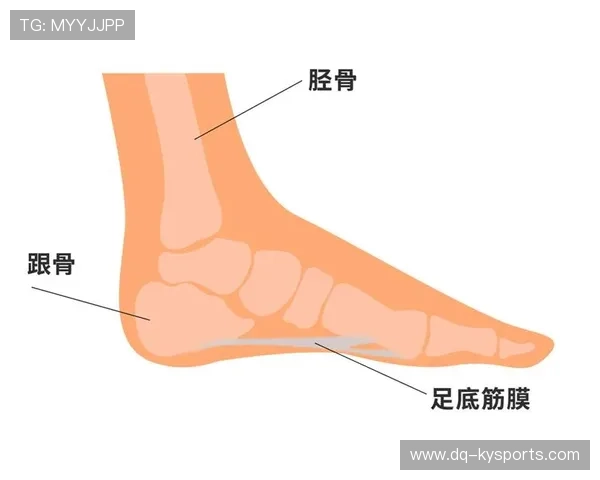 解析肌肉增长的原理:微损伤后的修复才是变强的关键,肌肉增加原理 解析肌肉增长的原理:微损伤后的修复才是变强的关键,肌肉增加原理